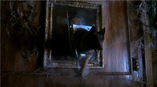 Dream-the-company-of-wolves-29634391-1280-716